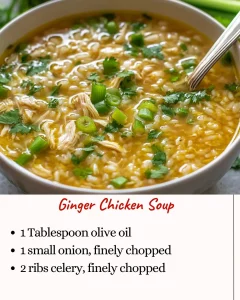 Ginger Chicken Soup